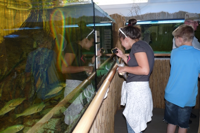 Érdeklődő diákok az Akváriumban