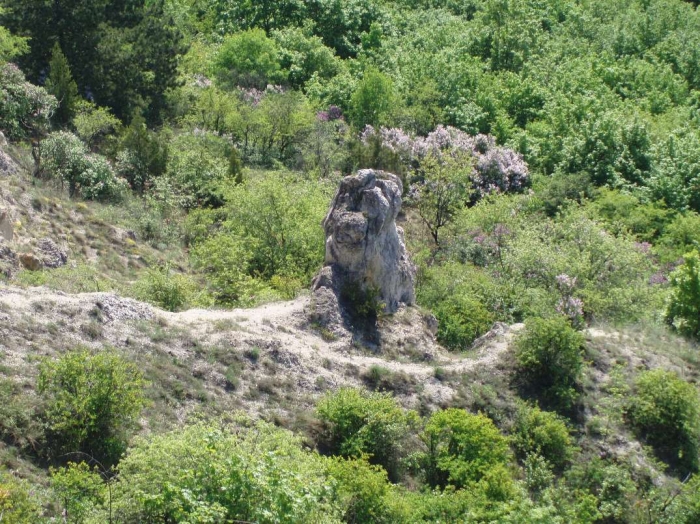 Beethoven-szikla a Sas-hegyen, karsztbokorerdővel